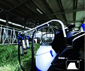 Portable milking machine ITALIA